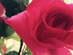 御庭精品酒店(秦淮河店)-御庭精品酒店(秦淮河店)