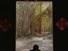 -望江楼公园