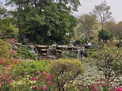 -东莞植物园