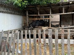 -清风小镇闯关东影视基地