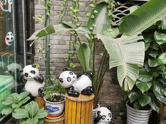 -熊猫屋(宽窄巷子景区店)