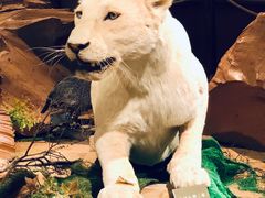 -陕西自然博物馆