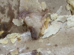 -李春秋驴肉火烧总店