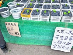 -南坛综合农贸市场