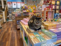 -猫的天空之城概念书店(杭州南宋御街店)