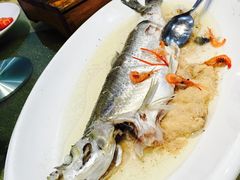 -小北江河鲜(新城店)