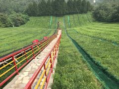 -原山国家森林公园