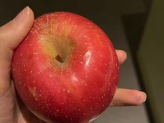 -南京金陵饭店