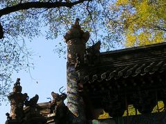 -北京国子监胡同
