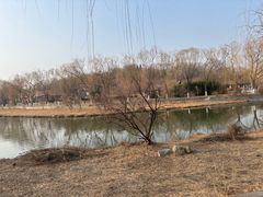 -南翠屏公园