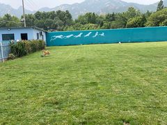 -趣玩宠物乐园寄养训犬训狗游泳池