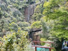 -庐山碧龙潭风景区