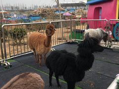 -华夏文旅海洋公园