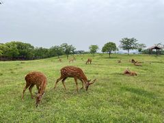 -良渚古城遗址公园