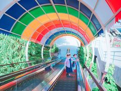 -芽庄珍珠岛游乐园
