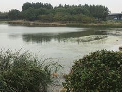 -丁香湖公园