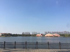 -上海长兴岛郊野公园