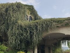 -府河摄影公园