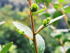 -水濂山森林公园