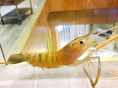 -阿杜打边炉(五江天街店)