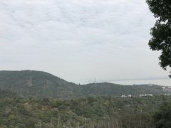 -雨花胜境