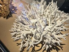 -天津自然博物馆