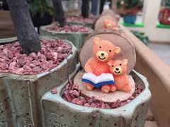 -荷兰花海