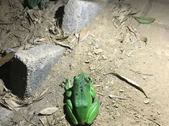 -绿堤公园
