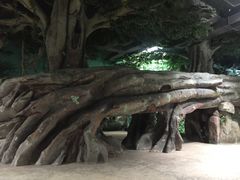 -福州罗源湾海洋世界旅游区