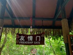 -呀诺达热带雨林