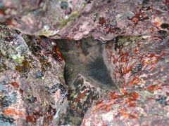 -西涌国际滨海旅游区