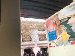 -古树酸奶(八廓南街店)