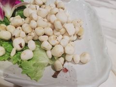 小马蹄-同仁四季椰子鸡(福田东园总店)
