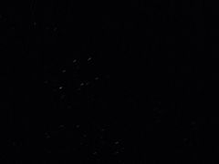 -怀托摩萤火虫洞