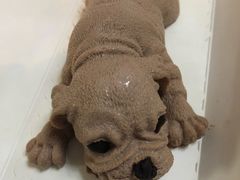 -蜜悦甜品·私人订制生日蛋糕