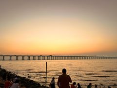 -宝安西湾红树林湿地公园