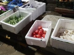 -鑫朱雀农贸批发市场