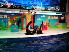 -成都浩海立方海洋公园