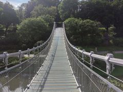 -东莞植物园