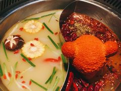-红辣椒·川菜·火锅(张杨路店)
