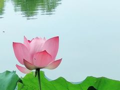 -金银湖国家城市湿地公园