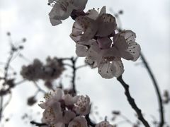 -龙洞风景区-藏龙涧