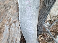 -龙洞风景区-藏龙涧