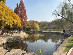 -太子山公园(园东路)