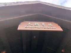 -东部华侨城