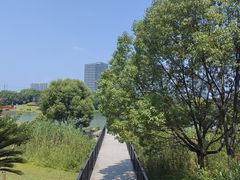 -美兰湖景区