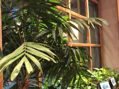 -鑫日千里马朝鲜族小馆(总店)