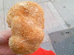 猴头菇-海勤盛海味干货市场(一德路店)