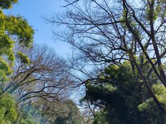 -九曲溪竹筏码头