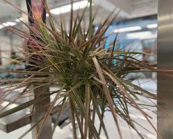 点击看大图 -P.STYLE 派斯造型